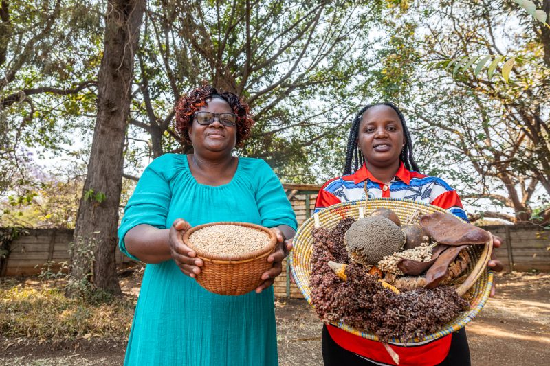 Thandiwe (left) wears a blue dress and glasses, she is holding a basket in front of her. Tsitsi wears a blue, white and red patterned shirt and also holds a basket containing seeds in front of her.