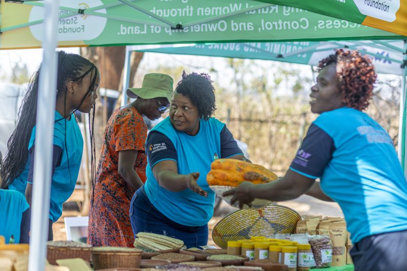 Sheila Mbiza (R) passes a basket with a paw paw to Midred Mutengo (L) over a table at the Women and Land in Zimbabwe exhibition stand.